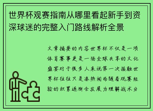 世界杯观赛指南从哪里看起新手到资深球迷的完整入门路线解析全景 世界杯观赛指南从哪里看起新手到资深球迷的完整入门路线解析全景